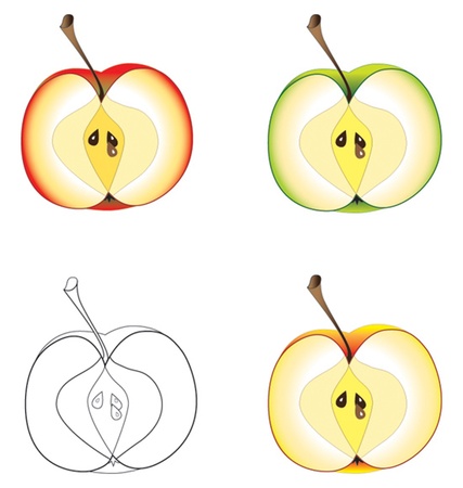 Set of apple halves, vectorのイラスト素材