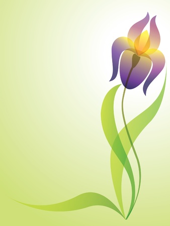 Spring flower purple irisのイラスト素材
