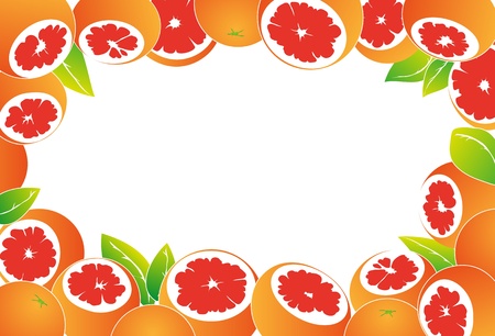 Grapefruit backgroundのイラスト素材