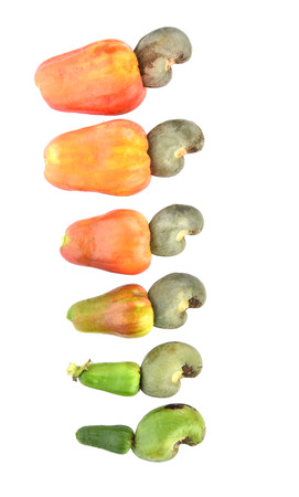 Top view of red cashew fruit isolated on white backgroundの写真素材