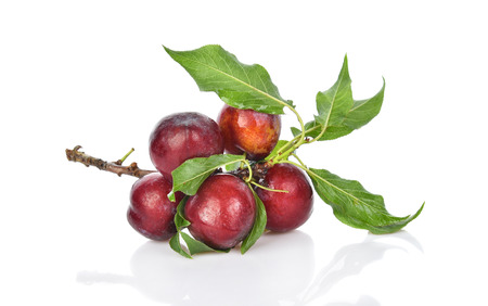 Red cherry plum with green leaves isolated on white backgroundの写真素材