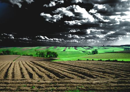 Weird fieldの写真素材