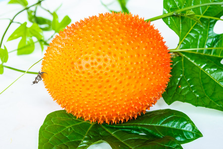 Fresh Gac fruit in white backgroundの写真素材