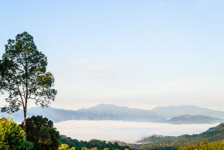 View of morning mist at Khao Panoeng Thung on Kaeng Krachan National Park,Phetchaburi, Thailandの写真素材