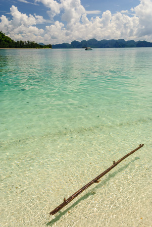 Floating Piece Of Wood On The Transparence  Sea Near The Beachの写真素材