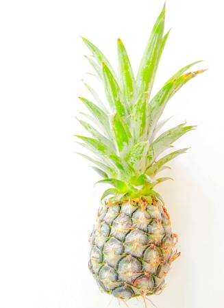 Pineapple Whiteの素材