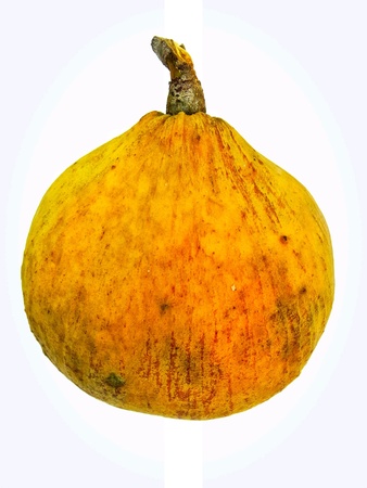 Sentui ripe yellowの素材