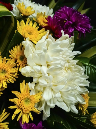 Bouquet condolencesの素材