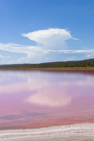 Pink Lake, Western Australiaの写真素材