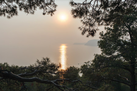 sunsetの写真素材