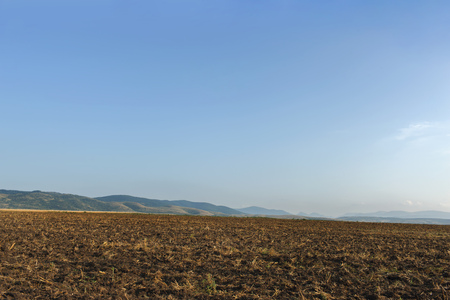 fieldの写真素材