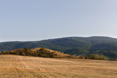 valleyの写真素材