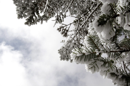 Hoarfrost and clouds backgroundの写真素材