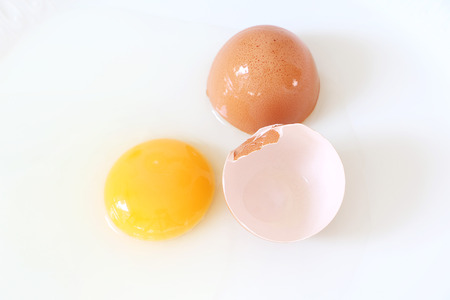Egg yolk and egg shellの写真素材