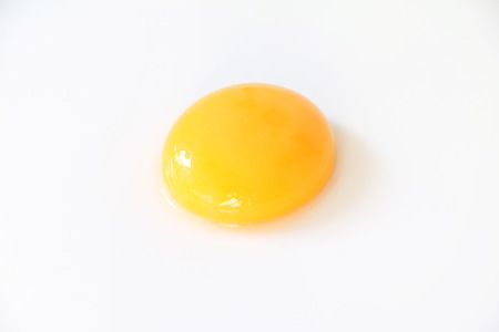 Egg yolk on white isolated backgroundの写真素材