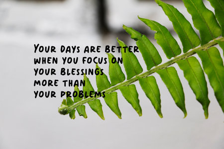 Inspirational quote on green fern leaf with white background. Your days are better when you focus on...