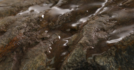 water flows over grey stone. stone texture close-up. rought mountain surface. macro shot of a rock. natural mineral background.の写真素材
