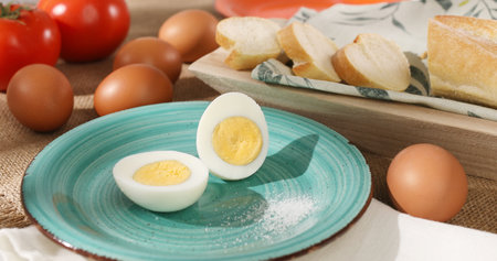 Halves of an egg on a plate. Boiled chicken eggs with bread and tomatoes. fresh eggs on the table. farm product closeup. natural healthy food. breakfast ingredients. rustic still life on a sunny day.の写真素材