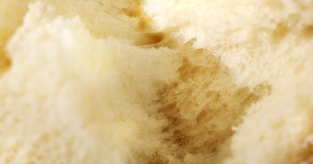 Tearing fresh bread. Texture of bread close up. Wooden background. Slow mation. Sunny day. First person view.の写真素材