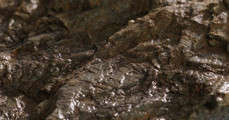 wet stone texture close-up. rought mountain surface. macro shot of a rock. natural mineral...