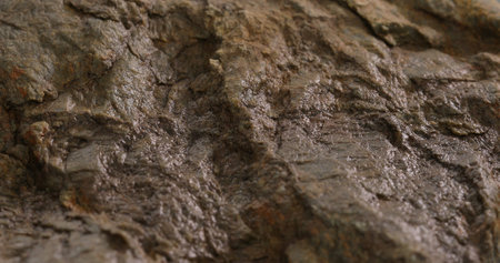 wet stone texture close-up. rought mountain surface. macro shot of a rock. natural mineral...