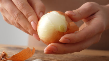 Woman Peels Onion Layers with her hands. Close-up, shallow dof.の写真素材