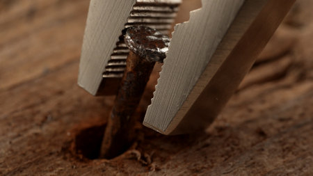 Pliers Removing a Rusty Nail from Wood. Selective focus, close-up.の写真素材