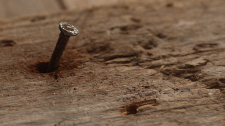 Bent Rusty Nail in Aged Wood. Selective focus, close-up.の写真素材
