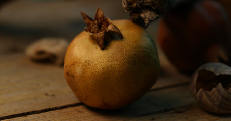 Rustic Pomegranate and Snail Shell Still Life. Close-up, shallow dof.