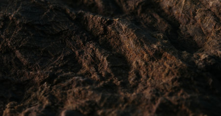 Macro View of a Rough Stone Surface Texture.の写真素材