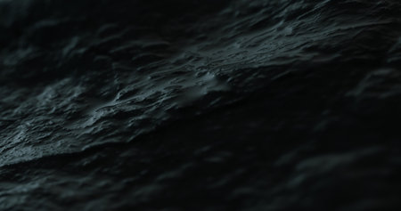 Macro View of a Wet Stone Texture in dim light.