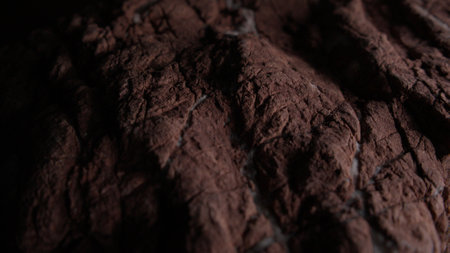 Close-up of Rough Brown Textured Rock Surface. Shallow dof.の写真素材