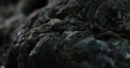 Textured Porous Rock Profile Under Moody Lighting. Close-up, shallow dof.の写真素材