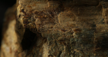 A close-up of a weathered rock surface with prominent earthy textures, showcasing natural erosion...