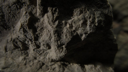 A close-up of a stone surface featuring rugged, layered textures. The natural indentations and varying shades emphasize the stones uneven, weathered appearance.の写真素材