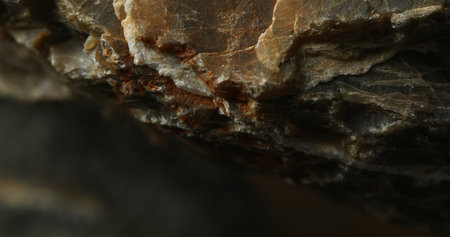 Close-up of a rock surface showing layered mineral deposits with distinct textures and earthy tones, illustrating natural geological formations and rugged patterns.の写真素材