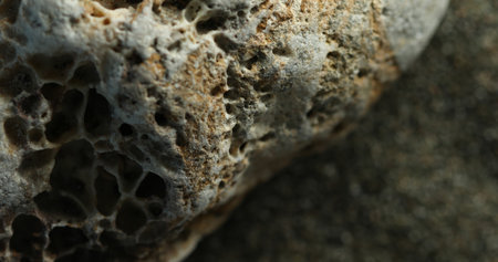 Close-up of a porous volcanic rock on a sandy beach under soft lightの写真素材