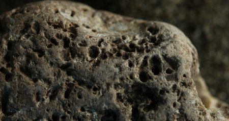 Close-up of a weathered volcanic rock with porous surface details