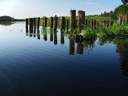 bridge long ago ruined, from it piles remained in riverの写真素材