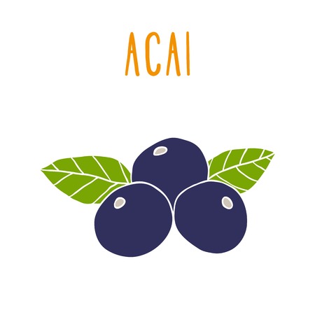 Acai berries. Vector EPS 10 hand drwn illustrationのイラスト素材