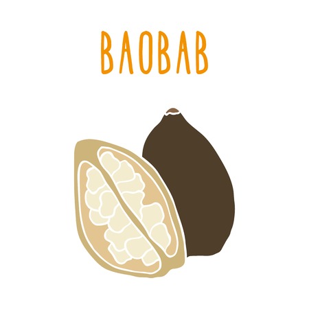 Baobab. Vector hand drawn illustrationのイラスト素材
