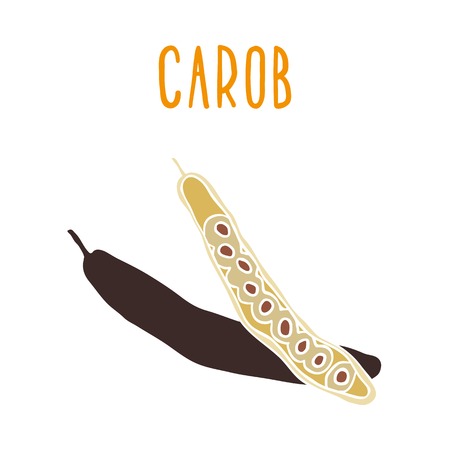 Carob. Vector hand drawn illustration.のイラスト素材