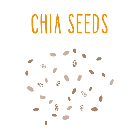 Chia seeds. Vector hand drawn illustration.のイラスト素材