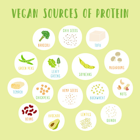 Vegan sources of protein. Vector info poster.のイラスト素材