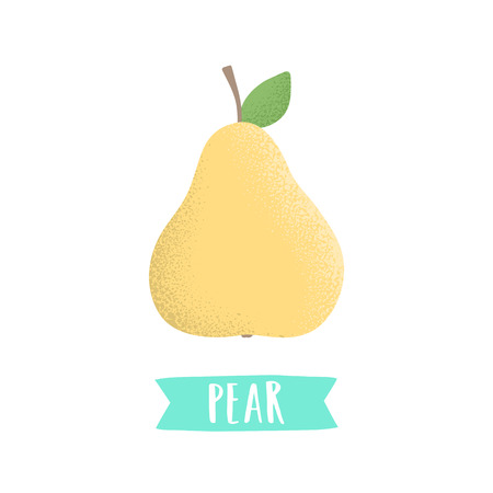 Hand draw pear isolated on white. Vector illustrationのイラスト素材