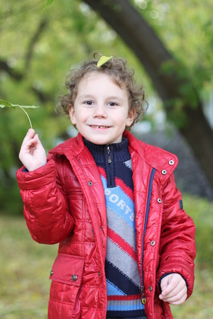 little curly cheerful boy walks in the forest among the trees and fallen yellow leaves in autumnの写真素材