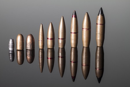 bullets of various calibers with reflection on a gray background