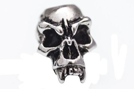 metal skull on a white backgroundの写真素材
