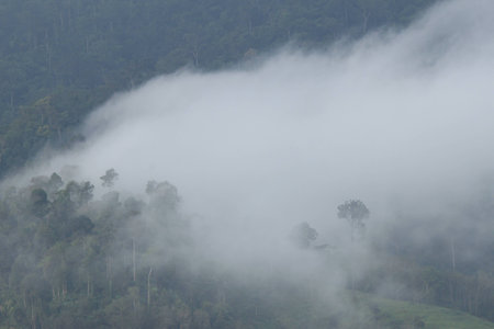 The Sea of Mist at Krungshing Nakhon Si Thammarat.