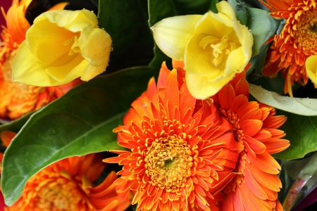 flowerの写真素材